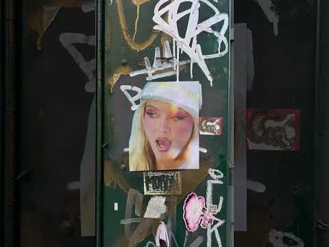 She cut out 200+ pictures of Zara Larsson for this?!?