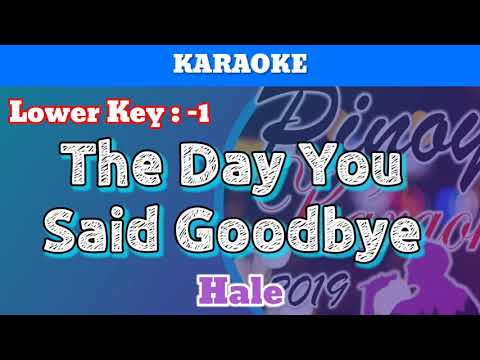 The Day You Said Goodbye by Hale (Karaoke : Lower Key : -1)