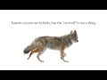 Understanding Hybridization and Terminology