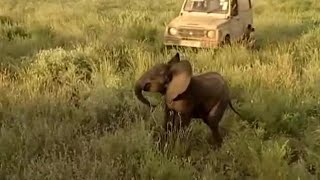 video