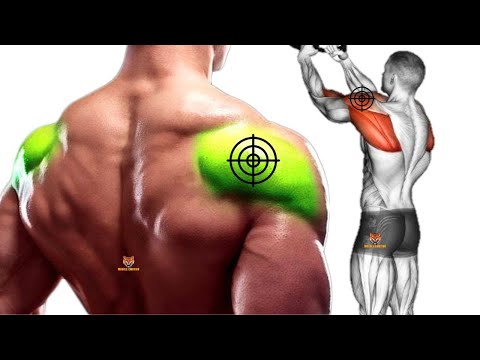 5 BEST REAR DELTOID EXERCISES WITH CABLE ONLY AT GYM