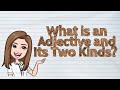 Types of Adjectives and Their Functions