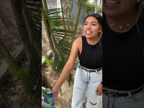 Hermanita #parati #viral #drama #reels