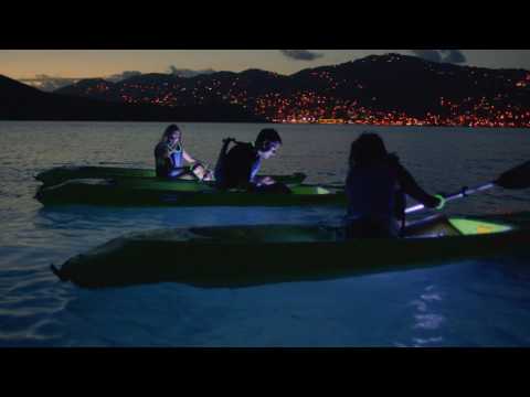 Real Nice | Nightlife