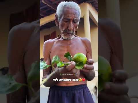 amor de avós