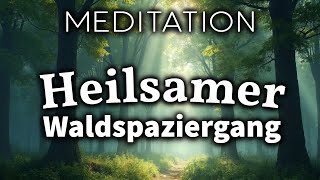 Geführte Gehmeditation im Wald: Natur-Meditation für Wanderungen & Wald-Spaziergänge (432 hz)