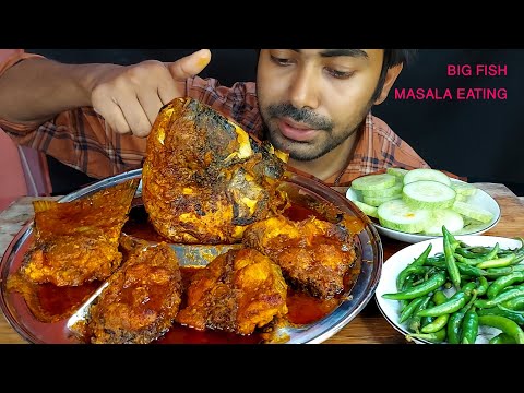 wow big fish fried masala curry and big fish head curry green chilli salad eating show mukbang food