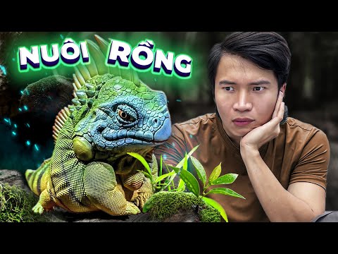 𝐓𝐨𝐧𝐲 | Lần Đầu Nuôi Rồng 😱 Cười Bể Bụng