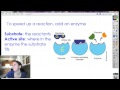 Enzyme Function and Activity