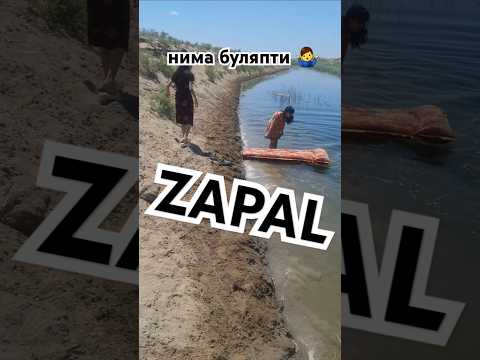 #shorts #shortvideo #shortsfeed #kunuz #automobile #shiriliklar #rek #shortvideo #love #dance #duet