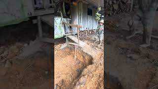 Today on the homestead #offgrid #homestead #farming #nature