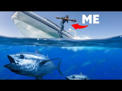 The Most EPIC Bluefin Tuna Spearfishing!