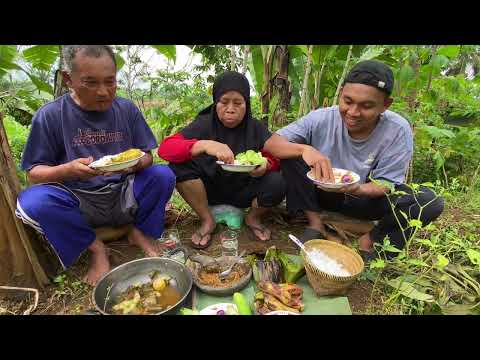 Penemuan Jamur Tumaritis Dimasak Pepes Cabe Dan Mas Pri Beli Mainan Baru Buat Di Sawah