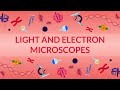 Exploring Light and Electron Microscopes