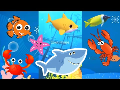 Baby Shark song dance at Ocean | Animals Sea Dolphin octopus | Baby Shark doo doo doo kids Song