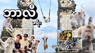 Bali Vlog 7, ဘာလီခရီး အပိုင်း ၇၊ မြောက်ရွာ၊ နတ်ပြည်တံခါးဝ ၊ ငါးတွေနဲ့ဘုရား ၊ ဒန်းစီး တဲ့ စပါးခင်း