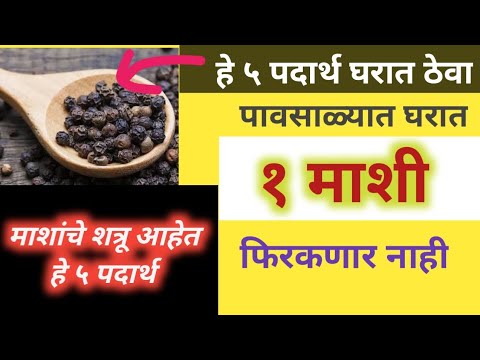 हे ५ पदार्थ घरात ठेवा, घरात १ माशी सुद्धा फिरकणार नाही,पावसाळ्यात ही काळजी घ्याच! #jivanvikas