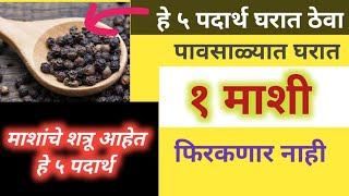 हे ५ पदार्थ घरात ठेवा, घरात १ माशी सुद्धा फिरकणार नाही,पावसाळ्यात ही काळजी घ्याच! #jivanvikas