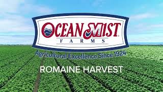 Ocean Mist Farms Romaine Harvest thumbnail