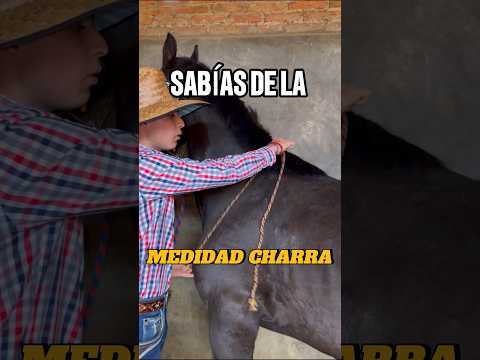 CONOCÍAS LA MEDIDA CHARRA EN UN CABALLO 😱 #caballos #enelrancho