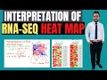 Understanding RNA-Seq Heat Maps