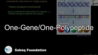 One-Gene/One-Polypeptide