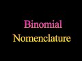 Scientific Nomenclature and Taxonomy
