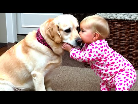 When Babies And Dogs Being Best Friends 🐶 Funny Baby Videos || Cool Peachy🍑