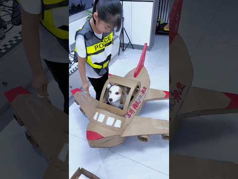 पापा ने कुत्ते को हेलीकॉप्टर पर बैठा दिया फिर जो हुआ 😲 #shorts #helicopter #shortsfeed #shortsviral