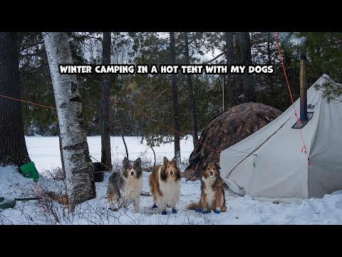 Winter Camping In A Hot Tent With My Dogs For 2 Nights