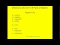 Exploring the 8 Parts of Speech