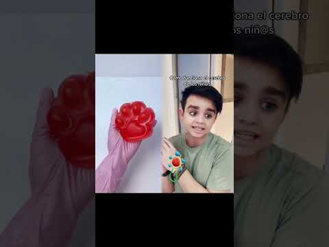 Como funciona el cerebro de los nif@s #humor #niños