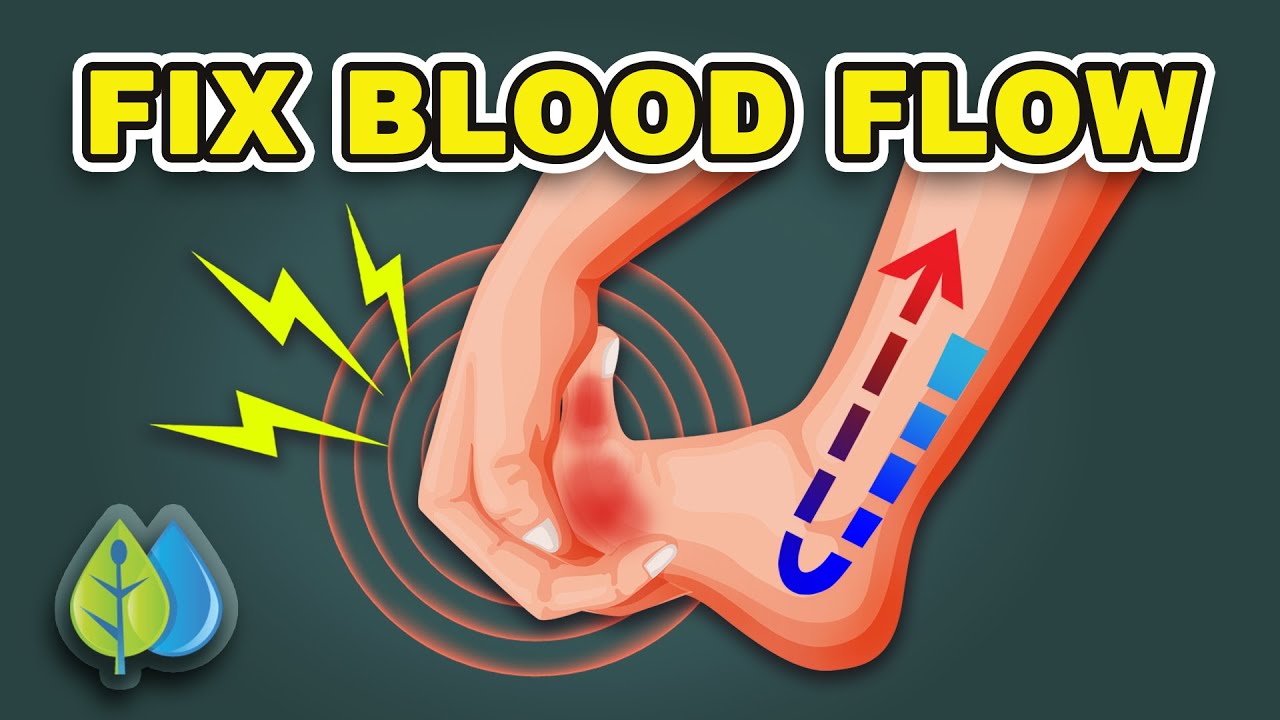 The BEST Meal to Improve Blood Flow to Legs & Feet