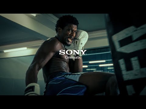 Koba | MMA Short-film (Shot on A7S III)