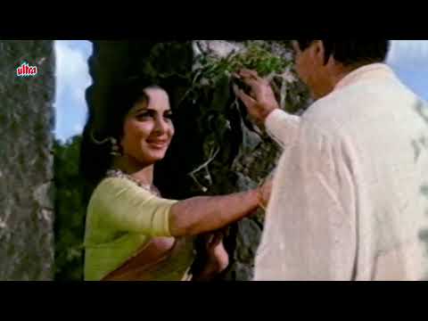 Dilip Kumar & Waheeda Rehman’s Evergreen Hindi Song: Phir Teri Kahani Yaad | Dil Diya Dard Liya