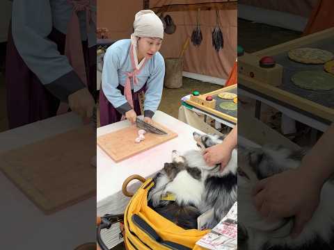 시골에서 강아지랑 만난 레전드 여자분 ㅋㅋㅋㅋ