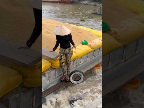 Vượt Cống ngọt lịm/Strong dam crossing.