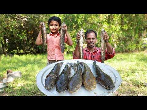 തനി നാടൻ വരാൽ കറി | Snake head fish curry | Kerala style varal curry