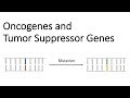 Understanding Oncogenes and Tumor Suppressor Genes