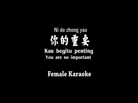 你的重要 – Ni de zhong yao – Female Karaoke – Terjemahan – Pinyin – Lyrics – Lirik