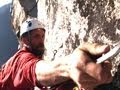 Yosemite National Park Insights