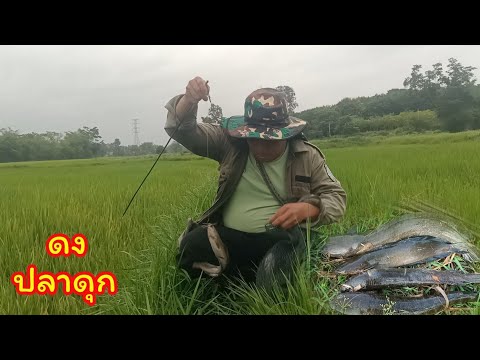ปักเบ็ดหมายนี้ "ดงปลาดุก" ชัดๆ