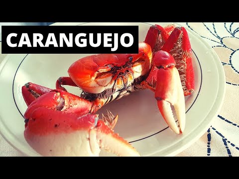 CARANGUEJO RECEITA RÁPIDA E FÁCIL - Como fazer caranguejo