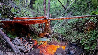 Alone in the Wild with My Dog – 2 Day Forest Escape (No Signal, No People)