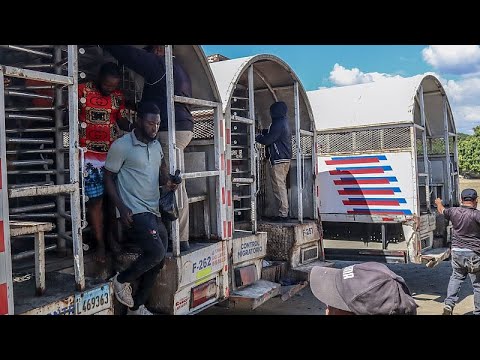 Haitian migrants share harrowing stories of abuse in Dominican Republic