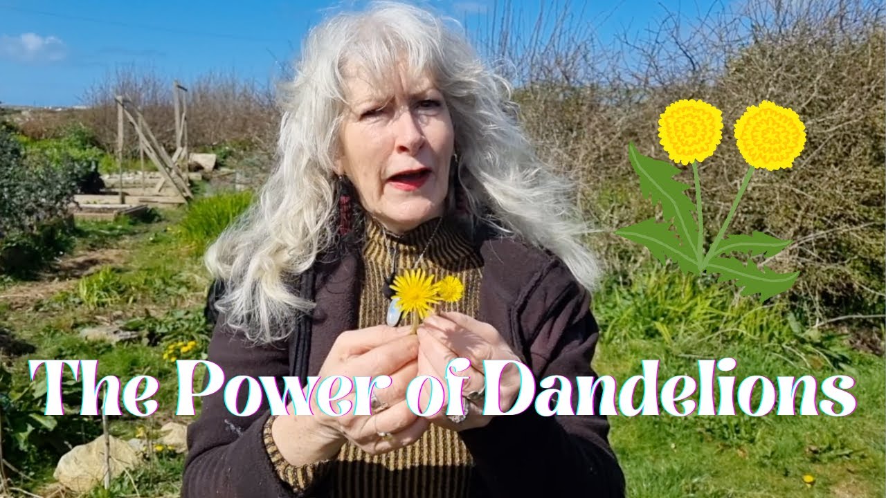 The Power of Dandelions