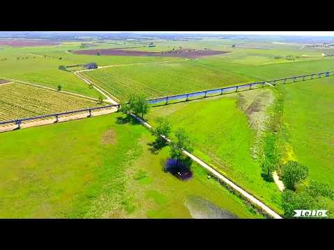 Antonello Pilota U.a.s.