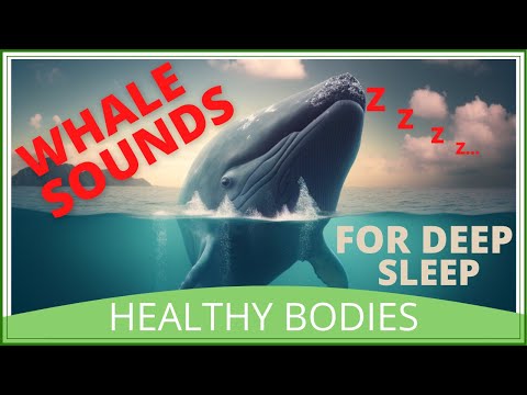 Whale Sounds for Deep Sleep