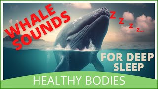 Whale Sounds for Deep Sleep