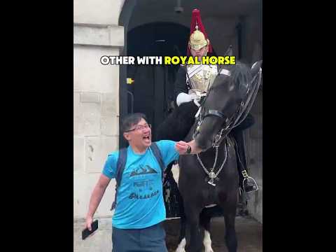 King's Guard Horse Reacts to People 🐴❤️
